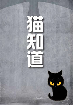 猫知道