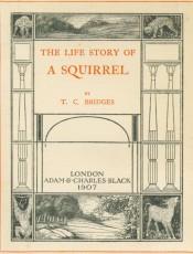 The life story of a squirrel松鼠的生活故事