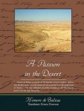 A Passion in the Desert沙漠里的爱情